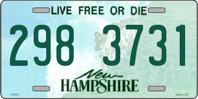 NH license plate 2983731