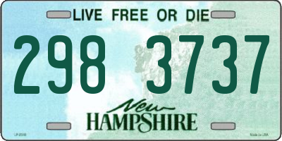 NH license plate 2983737