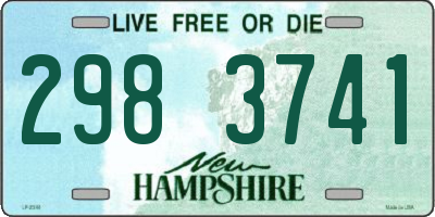 NH license plate 2983741