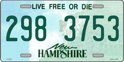 NH license plate 2983753