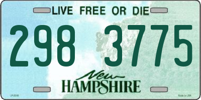 NH license plate 2983775