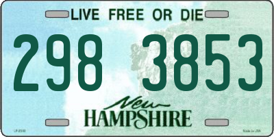 NH license plate 2983853