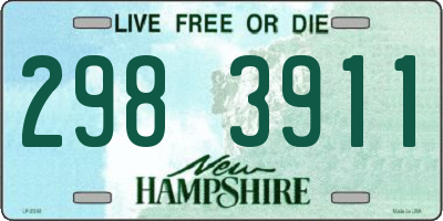 NH license plate 2983911