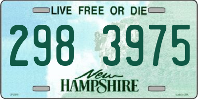 NH license plate 2983975