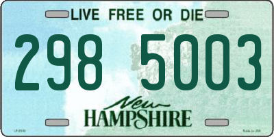 NH license plate 2985003