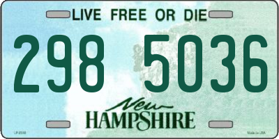 NH license plate 2985036