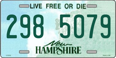 NH license plate 2985079