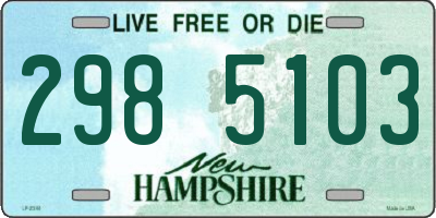 NH license plate 2985103