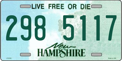 NH license plate 2985117