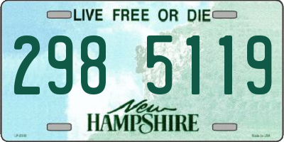 NH license plate 2985119