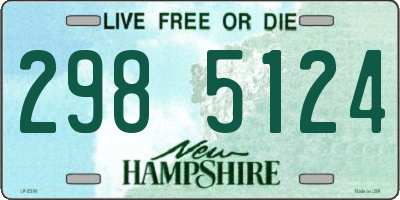 NH license plate 2985124