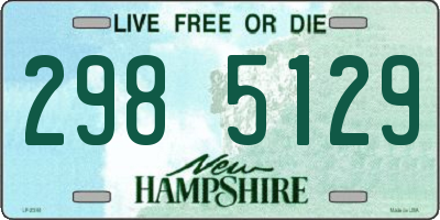 NH license plate 2985129