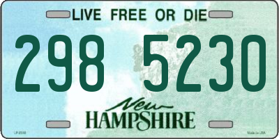 NH license plate 2985230