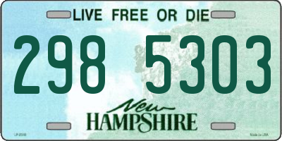 NH license plate 2985303