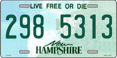 NH license plate 2985313