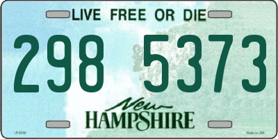 NH license plate 2985373