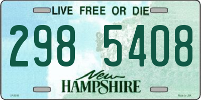 NH license plate 2985408