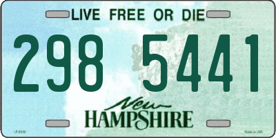 NH license plate 2985441