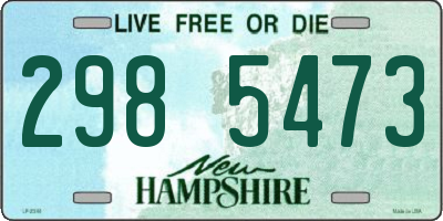NH license plate 2985473