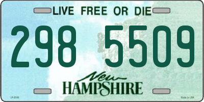 NH license plate 2985509