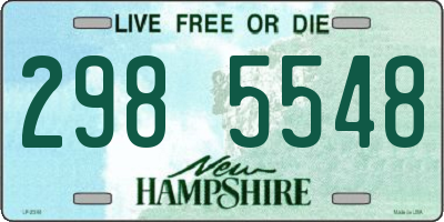 NH license plate 2985548