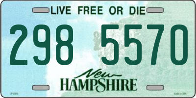 NH license plate 2985570
