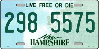 NH license plate 2985575