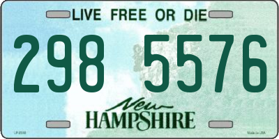 NH license plate 2985576