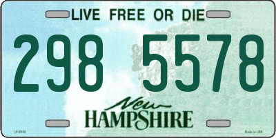 NH license plate 2985578