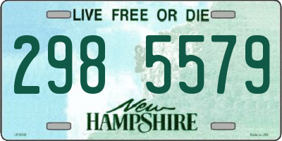 NH license plate 2985579