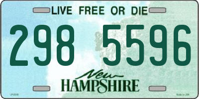 NH license plate 2985596