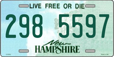 NH license plate 2985597