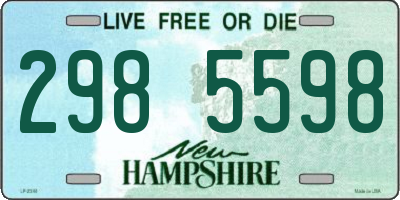 NH license plate 2985598