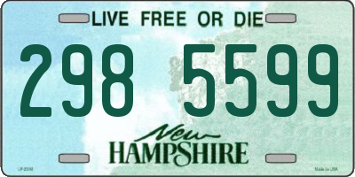 NH license plate 2985599