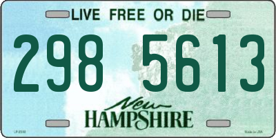 NH license plate 2985613