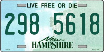 NH license plate 2985618
