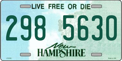 NH license plate 2985630