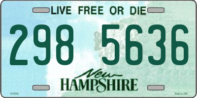 NH license plate 2985636