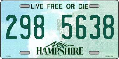 NH license plate 2985638