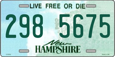 NH license plate 2985675