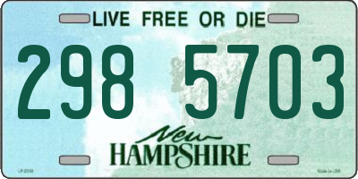 NH license plate 2985703
