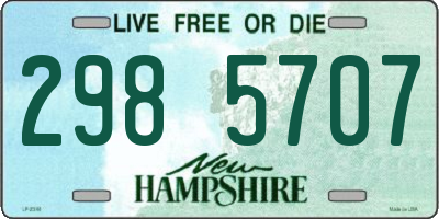 NH license plate 2985707