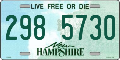 NH license plate 2985730