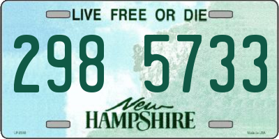 NH license plate 2985733