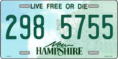 NH license plate 2985755
