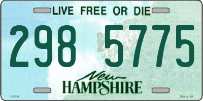 NH license plate 2985775