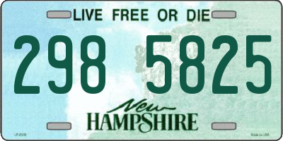 NH license plate 2985825