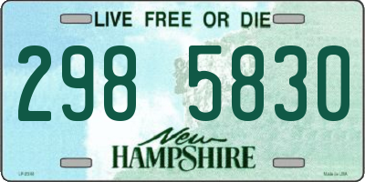 NH license plate 2985830