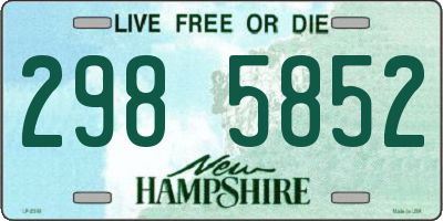 NH license plate 2985852