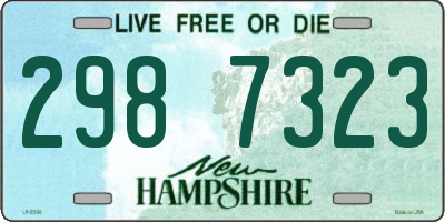 NH license plate 2987323